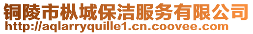 銅陵市樅城保潔服務有限公司