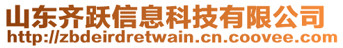 山東齊躍信息科技有限公司