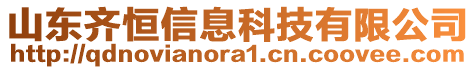 山東齊恒信息科技有限公司