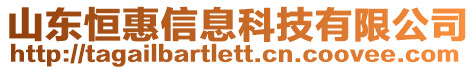 山東恒惠信息科技有限公司