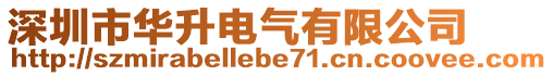深圳市華升電氣有限公司