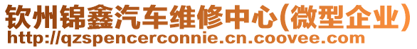 欽州錦鑫汽車維修中心(微型企業(yè))