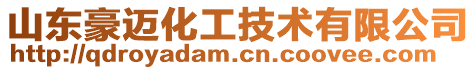 山東豪邁化工技術有限公司