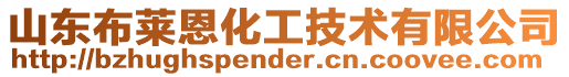 山東布萊恩化工技術有限公司