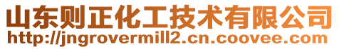 山東則正化工技術(shù)有限公司