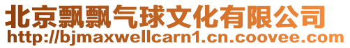 北京飄飄氣球文化有限公司