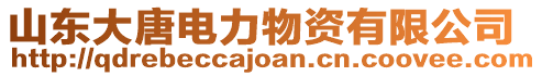 山東大唐電力物資有限公司