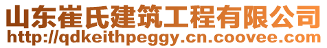 山東崔氏建筑工程有限公司