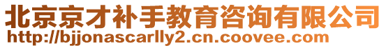 北京京才補(bǔ)手教育咨詢有限公司
