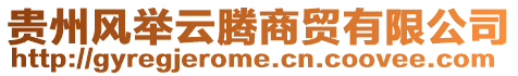 貴州風(fēng)舉云騰商貿(mào)有限公司