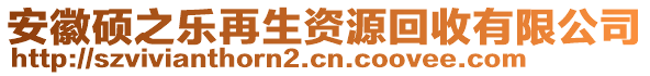 安徽碩之樂再生資源回收有限公司