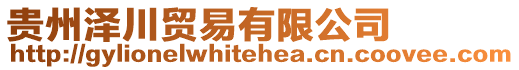 貴州澤川貿易有限公司