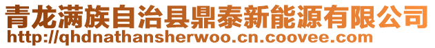青龍滿族自治縣鼎泰新能源有限公司