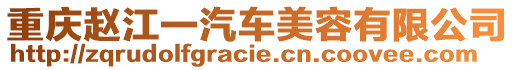 重慶趙江一汽車美容有限公司