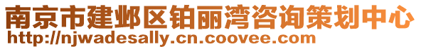 南京市建鄴區鉑麗灣咨詢策劃中心