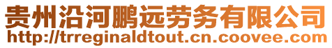 貴州沿河鵬遠勞務有限公司