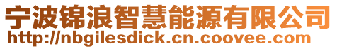 寧波錦浪智慧能源有限公司