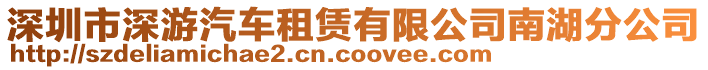 深圳市深游汽車租賃有限公司南湖分公司