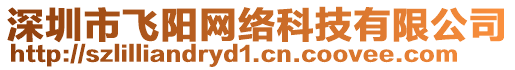 深圳市飛陽(yáng)網(wǎng)絡(luò)科技有限公司