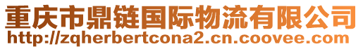 重慶市鼎鏈國際物流有限公司