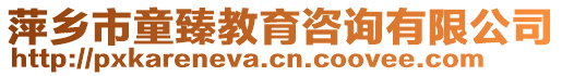 萍鄉(xiāng)市童臻教育咨詢有限公司