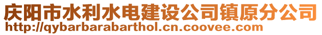 庆阳市水利水电建设公司镇原分公司