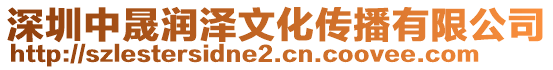 深圳中晟潤澤文化傳播有限公司