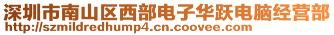 深圳市南山區(qū)西部電子華躍電腦經(jīng)營部