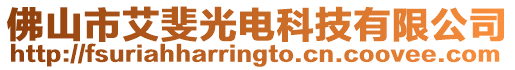 佛山市艾斐光電科技有限公司