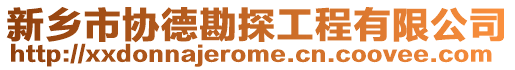 新鄉(xiāng)市協(xié)德勘探工程有限公司