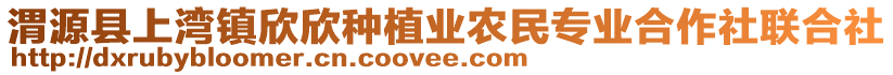 渭源縣上灣鎮(zhèn)欣欣種植業(yè)農(nóng)民專業(yè)合作社聯(lián)合社