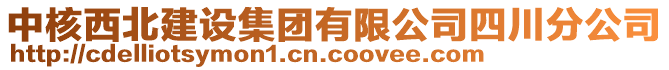 中核西北建設集團有限公司四川分公司