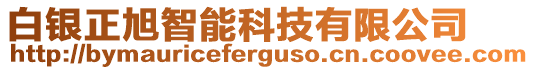 白銀正旭智能科技有限公司