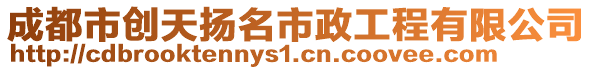 成都市創(chuàng)天揚名市政工程有限公司