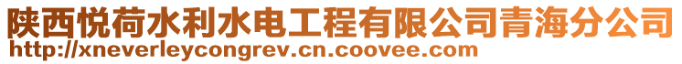 陜西悅荷水利水電工程有限公司青海分公司
