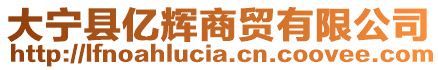 大寧縣億輝商貿(mào)有限公司