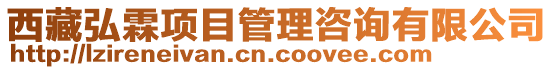 西藏弘霖項目管理咨詢有限公司