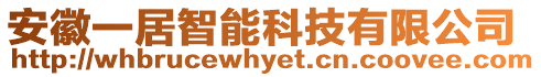 安徽一居智能科技有限公司