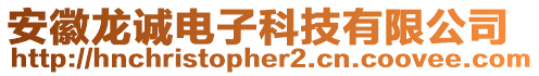 安徽龍誠電子科技有限公司