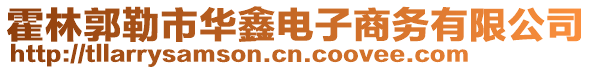 霍林郭勒市華鑫電子商務(wù)有限公司