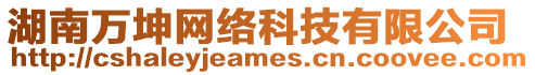 湖南萬坤網絡科技有限公司