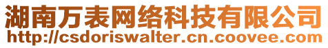 湖南萬表網絡科技有限公司