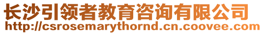 長(zhǎng)沙引領(lǐng)者教育咨詢(xún)有限公司