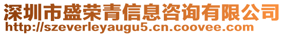 深圳市盛榮青信息咨詢有限公司