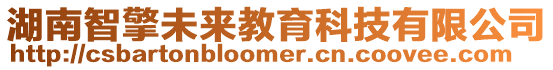 湖南智擎未來教育科技有限公司