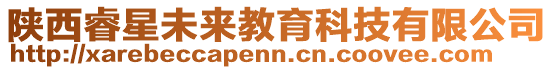 陜西睿星未來教育科技有限公司