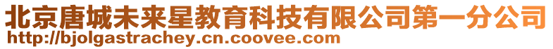 北京唐城未來星教育科技有限公司第一分公司