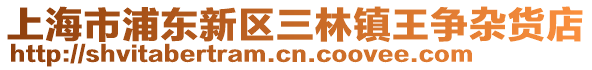 上海市浦東新區三林鎮王爭雜貨店