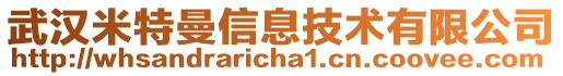 武漢米特曼信息技術(shù)有限公司