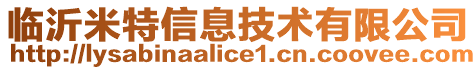 臨沂米特信息技術(shù)有限公司